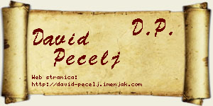 David Pecelj vizit kartica